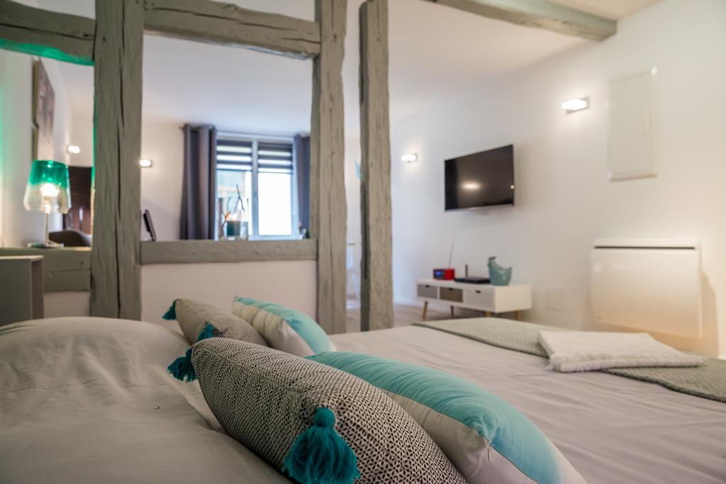 Apartment Grand Studio Centre Colmar
